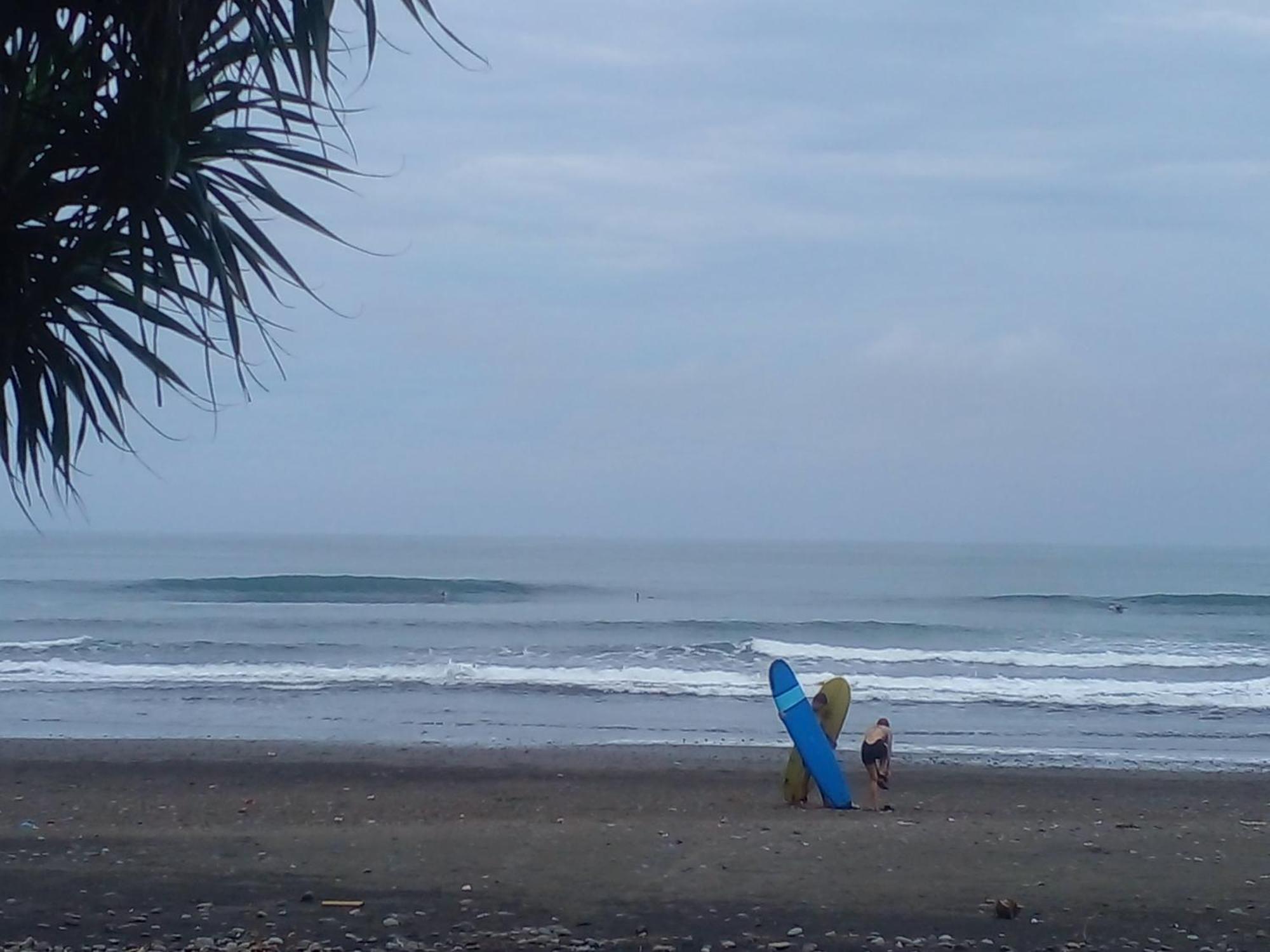 Medewi Good Vibes Stay&Surf Jembrana Zewnętrze zdjęcie
